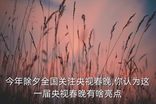 今年除夕全國關注央視春晚,你認為這一屆央視春晚有啥亮點
