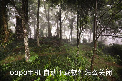 oppo手機 自動下載軟件怎么關(guān)閉