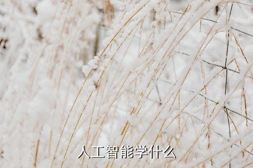 人工智能學(xué)什么