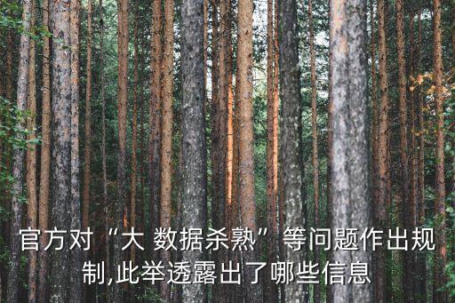 官方對“大 數(shù)據(jù)殺熟”等問題作出規(guī)制,此舉透露出了哪些信息