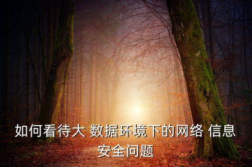 如何看待大 數(shù)據(jù)環(huán)境下的網(wǎng)絡 信息安全問題