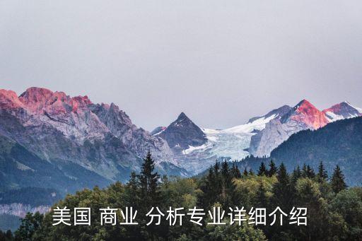 美國 商業(yè) 分析專業(yè)詳細(xì)介紹
