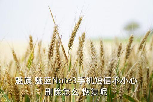 魅族 魅藍(lán)Note3手機(jī)短信不小心刪除怎么 恢復(fù)呢