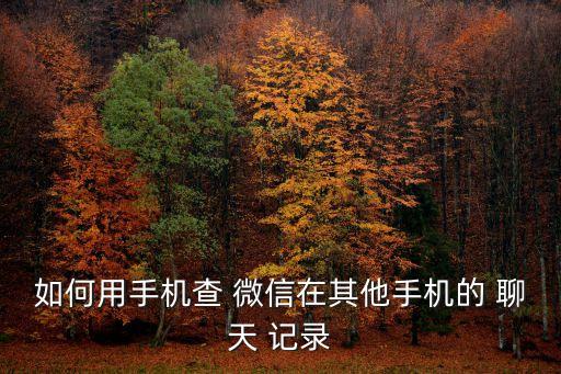 微信聊天記錄 數(shù)據(jù),新手機(jī)怎么導(dǎo)入舊手機(jī)微信聊天記錄數(shù)據(jù)