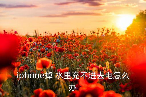 iphone掉 水里充不進去電怎么辦