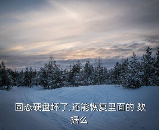  固態(tài)硬盤壞了,還能恢復(fù)里面的 數(shù)據(jù)么