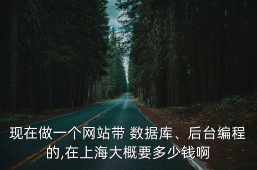 現(xiàn)在做一個(gè)網(wǎng)站帶 數(shù)據(jù)庫(kù)、后臺(tái)編程的,在上海大概要多少錢(qián)啊