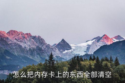 怎么把內(nèi)存卡上的東西全部清空