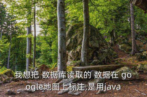 我想把 數據庫讀取的 數據在 google地圖上標注,是用java