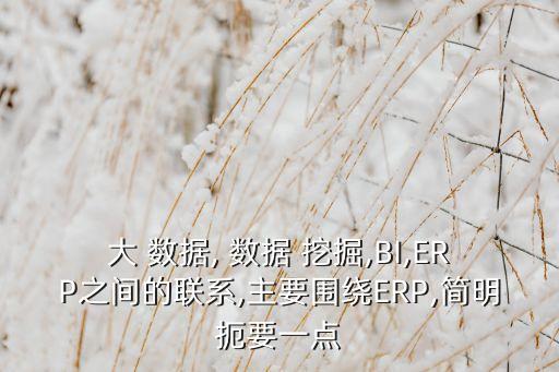 大 數(shù)據(jù), 數(shù)據(jù) 挖掘,BI,ERP之間的聯(lián)系,主要圍繞ERP,簡明扼要一點(diǎn)