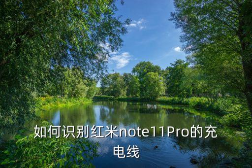 如何識別紅米note11Pro的充電線