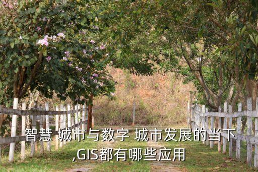 智慧城市基礎(chǔ)設(shè)施數(shù)據(jù),確定北京上海等城市為智慧城市基礎(chǔ)設(shè)施