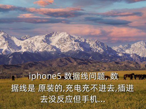  iphone5 數(shù)據(jù)線問題, 數(shù)據(jù)線是 原裝的,充電充不進(jìn)去,插進(jìn)去沒反應(yīng)但手機(jī)...