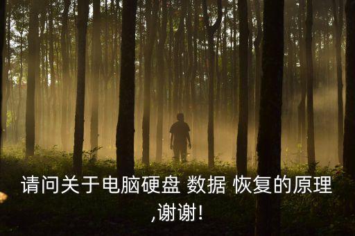 請(qǐng)問關(guān)于電腦硬盤 數(shù)據(jù) 恢復(fù)的原理,謝謝!