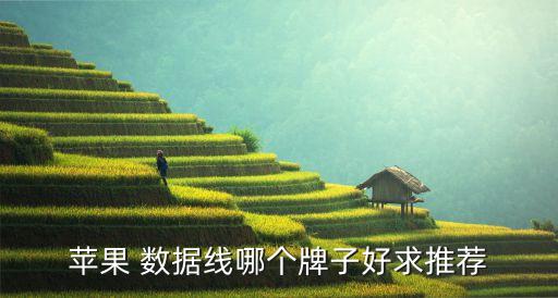 蘋果 數(shù)據(jù)線哪個牌子好求推薦
