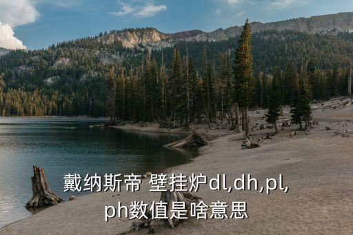 戴納斯帝 壁掛爐dl,dh,pl,ph數(shù)值是啥意思