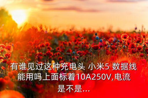 有誰見過這種充電頭 小米5 數(shù)據(jù)線能用嗎上面標(biāo)著10A250V,電流是不是...