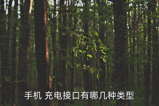 手機(jī) 充電接口有哪幾種類型