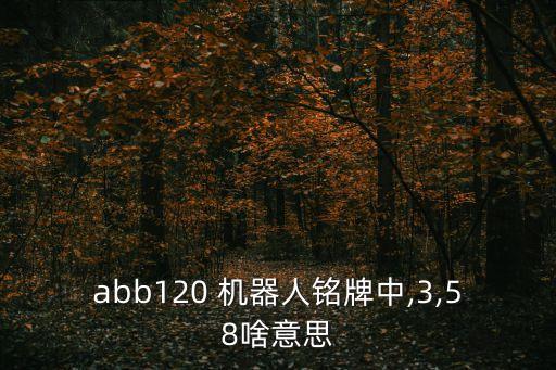 abb120 機(jī)器人銘牌中,3,58啥意思