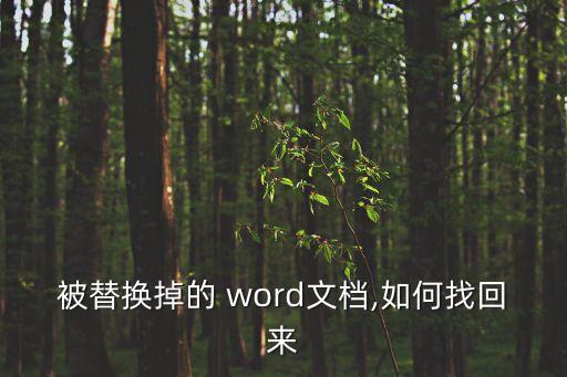 word怎樣恢復(fù)丟失數(shù)據(jù),Word文檔丟失如何恢復(fù)