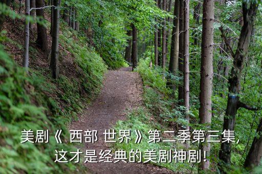 美劇《 西部 世界》第二季第三集,這才是經(jīng)典的美劇神劇!
