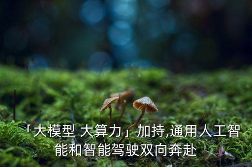 「大模型 大算力」加持,通用人工智能和智能駕駛雙向奔赴