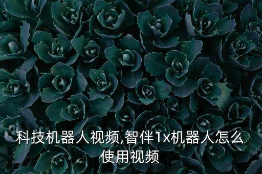 智伴科技機(jī)器人視頻,智伴1x機(jī)器人怎么使用視頻
