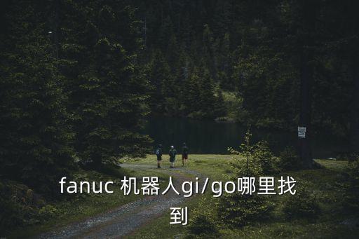 fanuc 機(jī)器人gi/go哪里找到