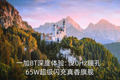 一加8T深度體驗:120Hz瞳孔 65W超級閃充真香旗艦