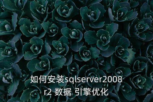 多為數(shù)據(jù)引擎,MySQL數(shù)據(jù)引擎