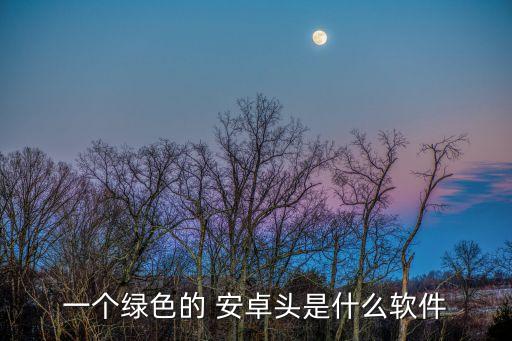 一個綠色的 安卓頭是什么軟件