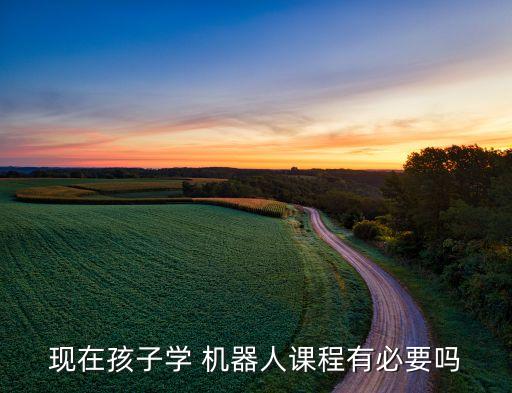 現(xiàn)在孩子學 機器人課程有必要嗎