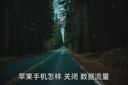 怎么關(guān)閉移動(dòng)數(shù)據(jù)功能,移動(dòng)數(shù)據(jù)功能暫停和關(guān)閉的區(qū)別