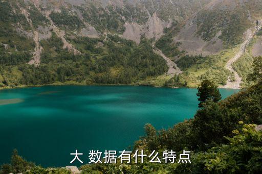 大數(shù)據(jù)的主要特點(diǎn),簡(jiǎn)述大數(shù)據(jù)的主要特點(diǎn)