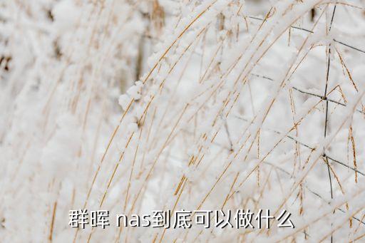 群暉 nas到底可以做什么