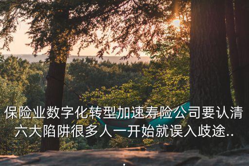 保險業(yè)數(shù)字化轉(zhuǎn)型加速壽險公司要認清六大陷阱很多人一開始就誤入歧途...