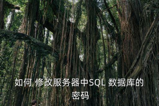 修改sybase數(shù)據(jù)庫密碼,修改數(shù)據(jù)庫密碼的命令