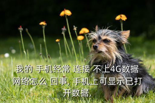 手機(jī)連接不上數(shù)據(jù)流量怎么回事