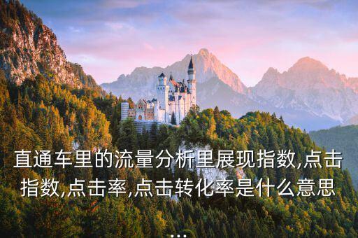 直通車?yán)锏牧髁糠治隼镎宫F(xiàn)指數(shù),點(diǎn)擊指數(shù),點(diǎn)擊率,點(diǎn)擊轉(zhuǎn)化率是什么意思...
