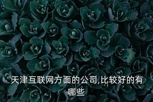  天津互聯(lián)網(wǎng)方面的公司,比較好的有哪些