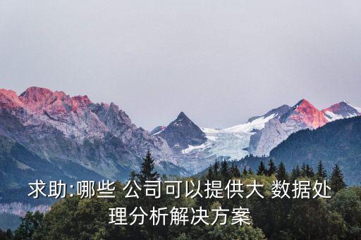 求助:哪些 公司可以提供大 數(shù)據(jù)處理分析解決方案