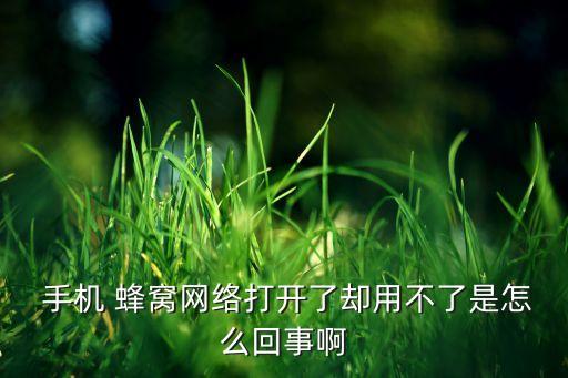  手機 蜂窩網(wǎng)絡(luò)打開了卻用不了是怎么回事啊