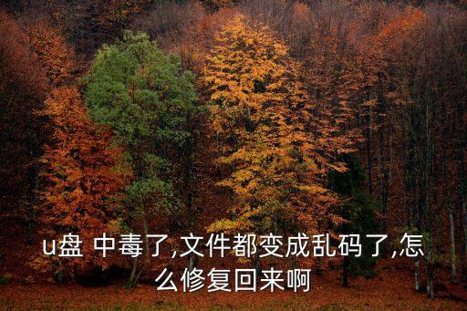 u盤 中毒了,文件都變成亂碼了,怎么修復回來啊