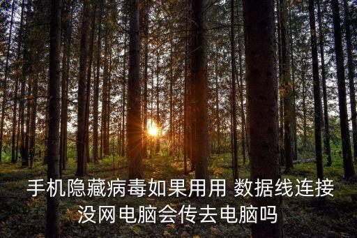  手機隱藏病毒如果用用 數(shù)據(jù)線連接沒網(wǎng)電腦會傳去電腦嗎