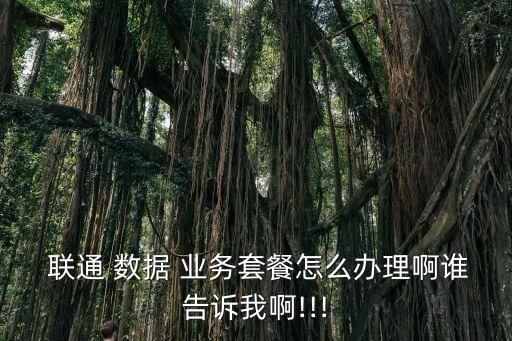 聯(lián)通 數(shù)據(jù) 業(yè)務(wù)套餐怎么辦理啊誰告訴我啊!!!