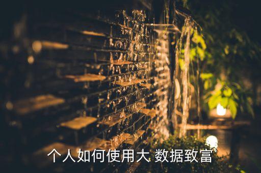 個人如何使用大 數(shù)據(jù)致富