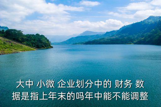 小微企業(yè)財務數(shù)據(jù)