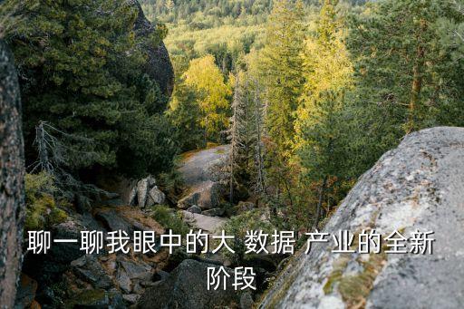 聊一聊我眼中的大 數(shù)據(jù) 產(chǎn)業(yè)的全新階段