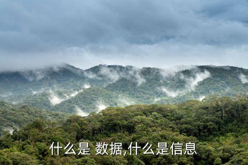 什么是 數(shù)據(jù),什么是信息