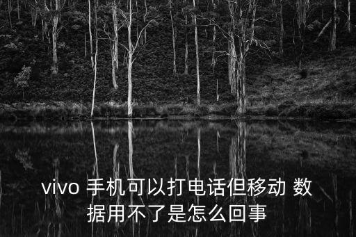 vivo 手機(jī)可以打電話但移動(dòng) 數(shù)據(jù)用不了是怎么回事